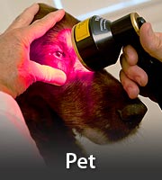 Laser Therapy for Vets